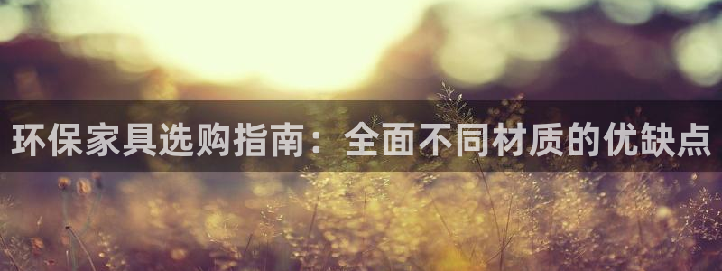 杏耀代理日工资多少