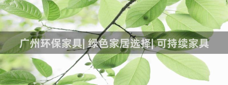 杏耀主管qq
