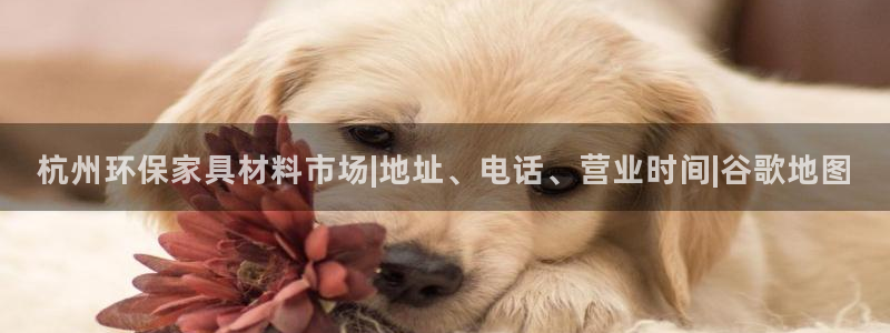 杏耀官网网站中心