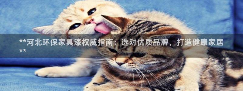 杏耀平台线路测试