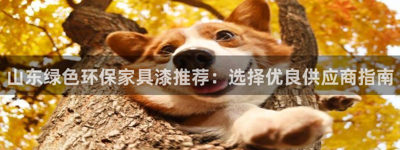 杏耀注册杏耀登陆