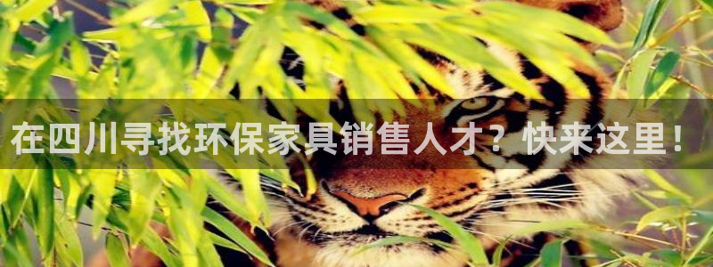杏耀平台代理登录网址是多少