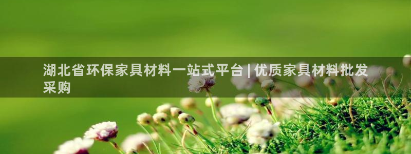 杏耀平台网站是什么