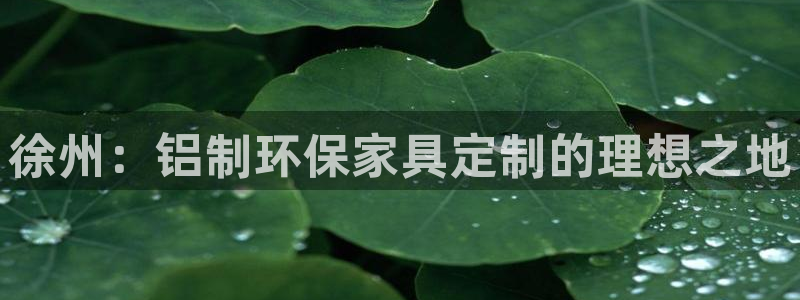 杏耀平台代理登录网址查询