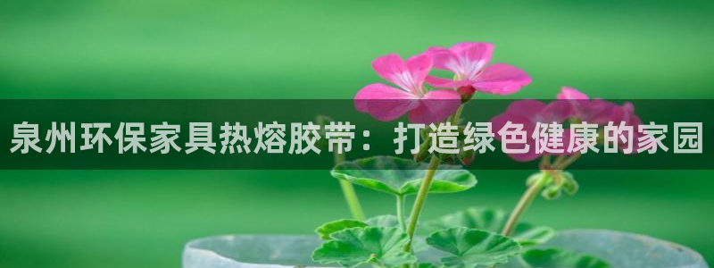 杏耀平台代理登录网址是什么：泉州环保家具热熔胶带：打造绿色健