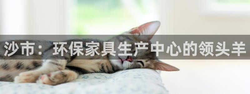 杏耀平台首页：沙市：环保家具生产中心的领头羊