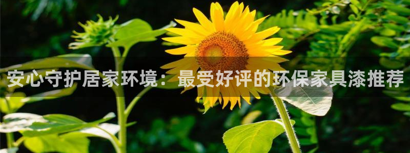 杏耀注册登录中心：安心守护居家环境：最受好评的环保家具漆推荐