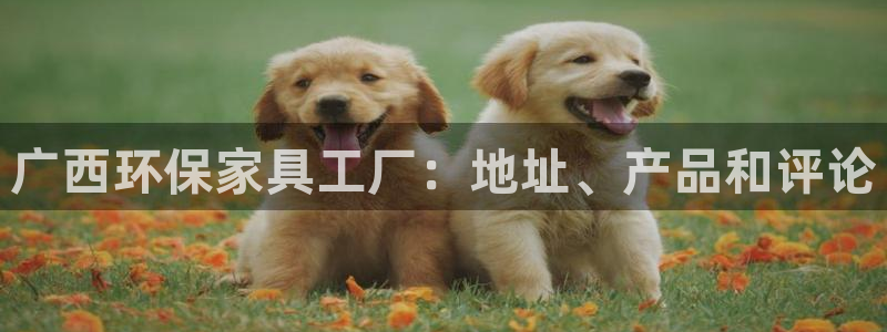 杏耀平台登录入口：广西环保家具工厂：地址、产品和评论