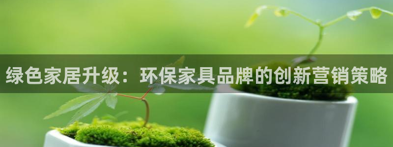 杏耀怎么注册：绿色家居升级：环保家具品牌的创新营销策略