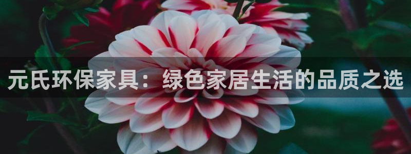 杏耀平台开户