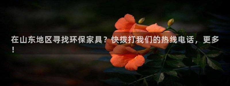 杏耀平台网页版：在山东地区寻找环保家具？快拨打我们的热线电话