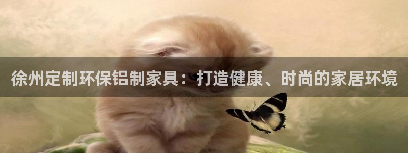 杏耀平台测速地址：徐州定制环保铝制家具：打造健康、时尚的家居