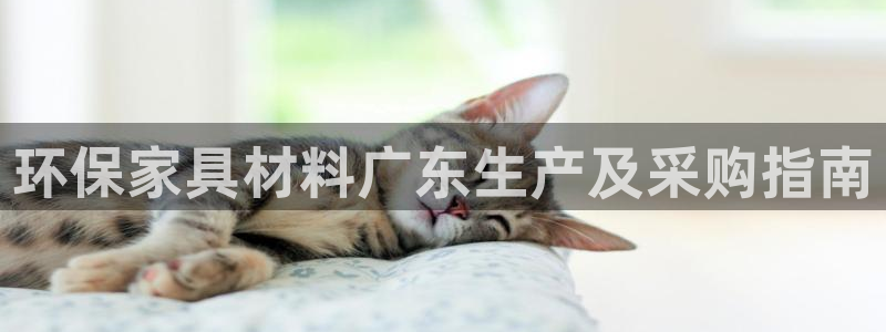 杏耀代理主管qq