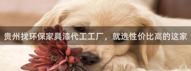 杏耀平台登录网址是什么：贵州找环保家具漆代工工厂，就选性价比