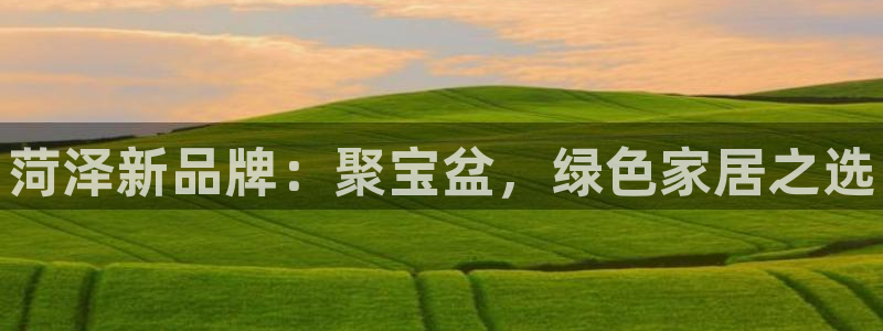 杏耀平台注册代理：菏泽新品牌：聚宝盆，绿色家居之选