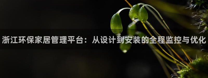 杏耀平台注册代理：浙江环保家居管理平台：从设计到安装的全程监