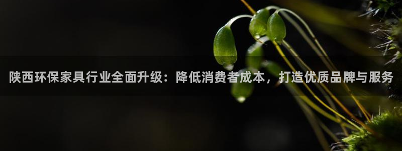 杏耀平台主管：陕西环保家具行业全面升级：降低消费者成本，打造