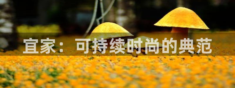 杏耀平台线路测试：宜家：可持续时尚的典范