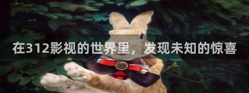 熊猫包：在312影视的世界里，发现未知的惊喜