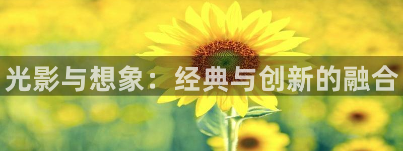 熊猫影视在线播放：光影与想象：经典与创新的融合