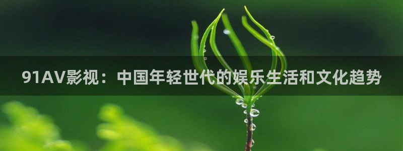 熊猫电影yy8y3(4)：91AV影视：中国年轻世代的娱乐生活和文化趋势
