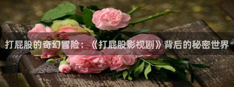 熊猫主题：打屁股的奇幻冒险：《打屁股影视剧》背后的秘密世界