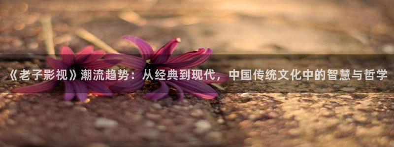 我是大熊猫电影：《老子影视》潮流趋势：从经典到现代，中国传统文化中的智慧与哲学