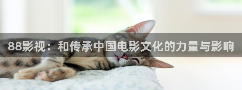 熊猫影院在线观看免费播放：88影视：和传承中国电影文化的力量与影响