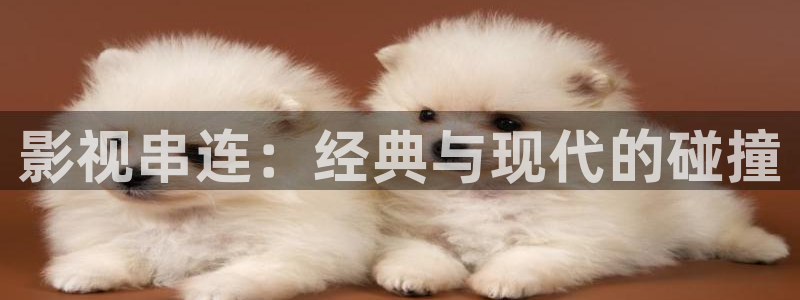 熊猫熊猫熊猫熊猫：影视串连：经典与现代的碰撞