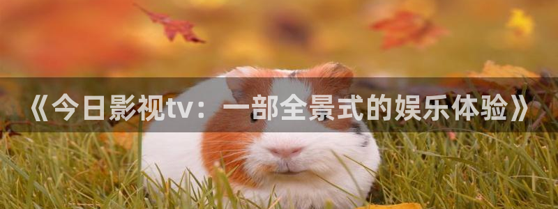 熊猫电影免费观看入口：《今日影视tv：一部全景式的娱乐体验》