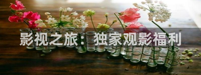 熊猫电影yy3y：影视之旅：独家观影福利
